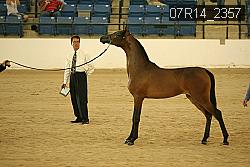 07R14_2357 proof