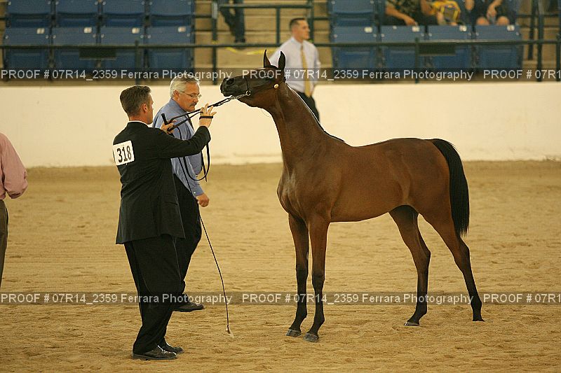 Proof 07R14_2359