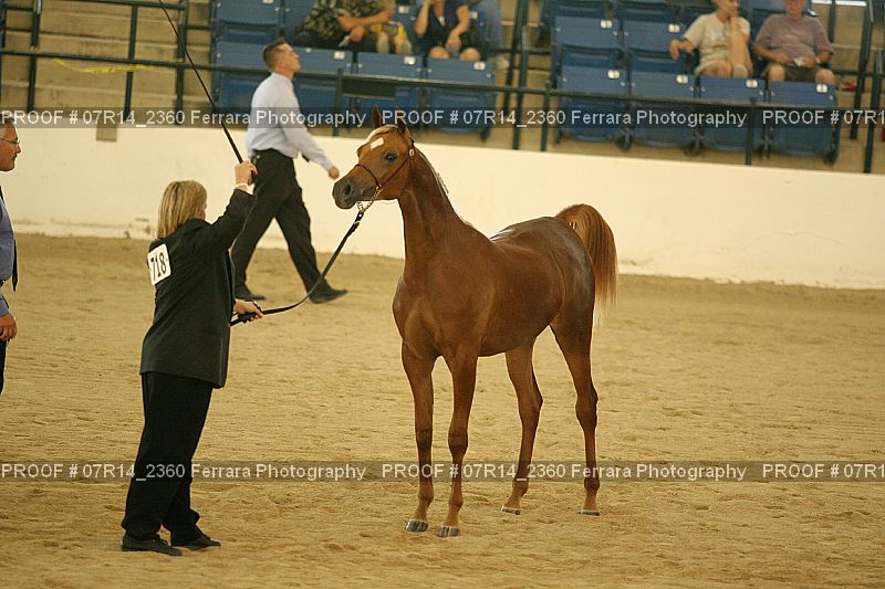 Proof 07R14_2360