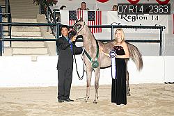 07R14_2363 proof