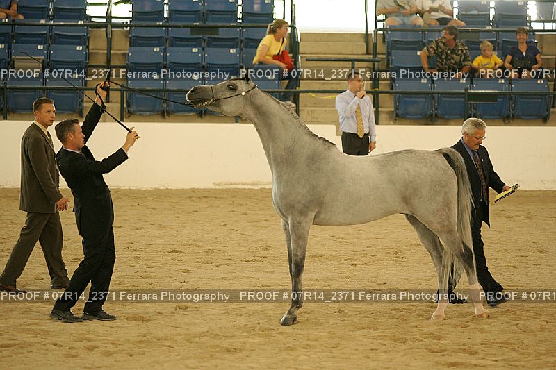 Proof 07R14_2371