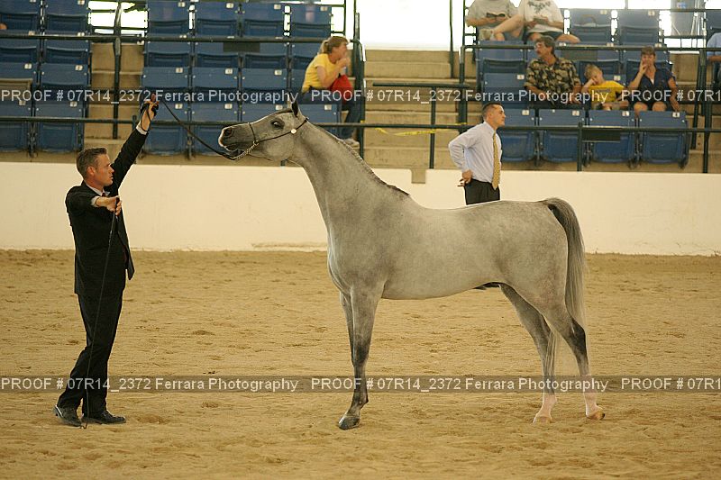 Proof 07R14_2372