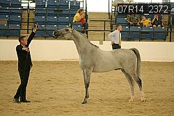 07R14_2372 proof
