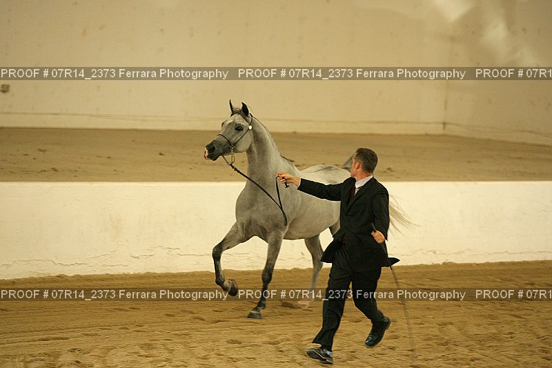 Proof 07R14_2373