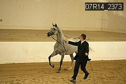 07R14_2373 proof