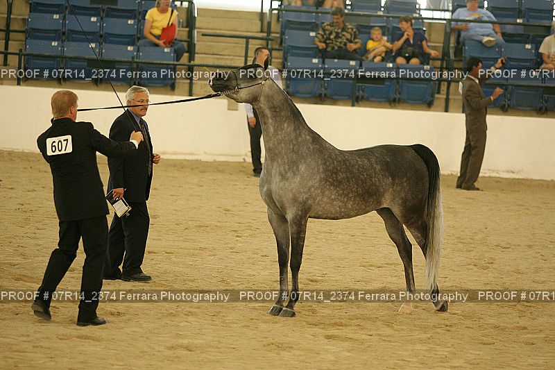 Proof 07R14_2374