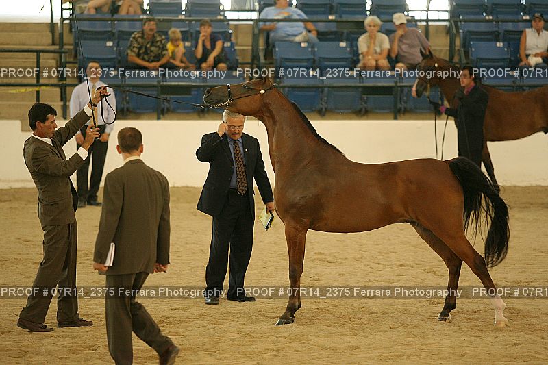 Proof 07R14_2375