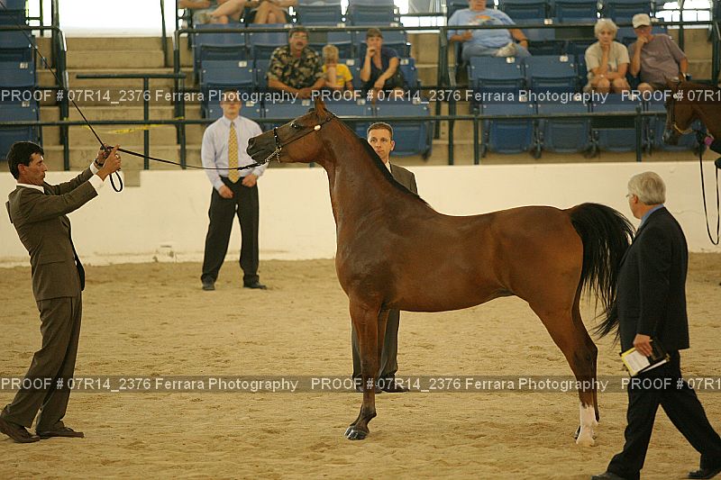 Proof 07R14_2376