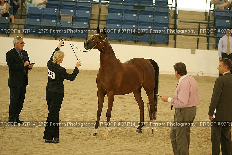 Proof 07R14_2379