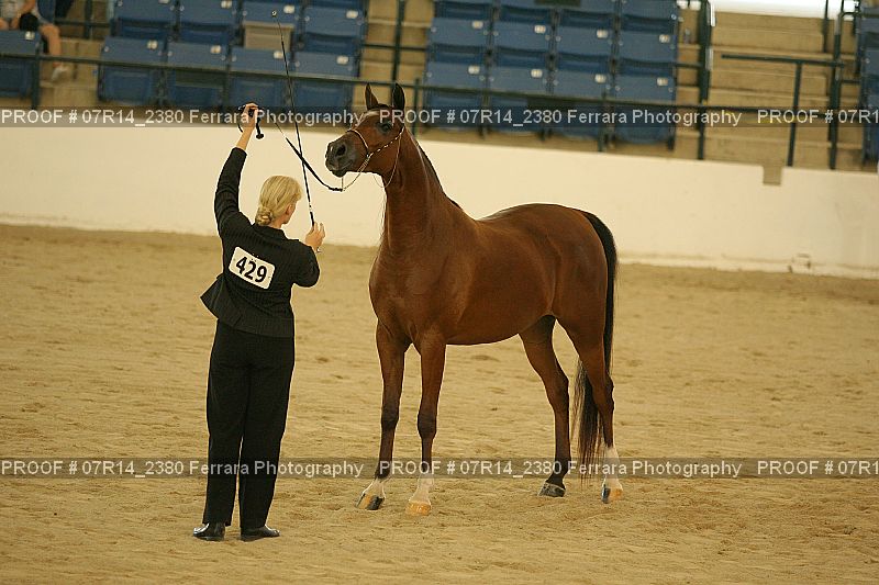 Proof 07R14_2380