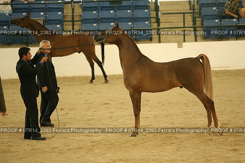 Proof 07R14_2382