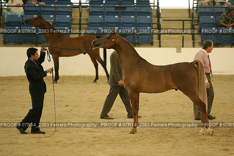 Proof 07R14_2383