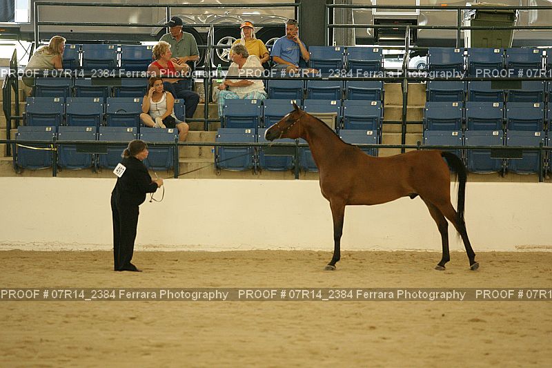 Proof 07R14_2384