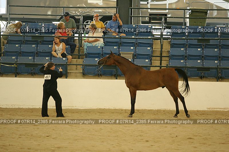 Proof 07R14_2385