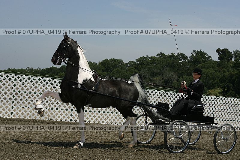 Proof 07upha_0419