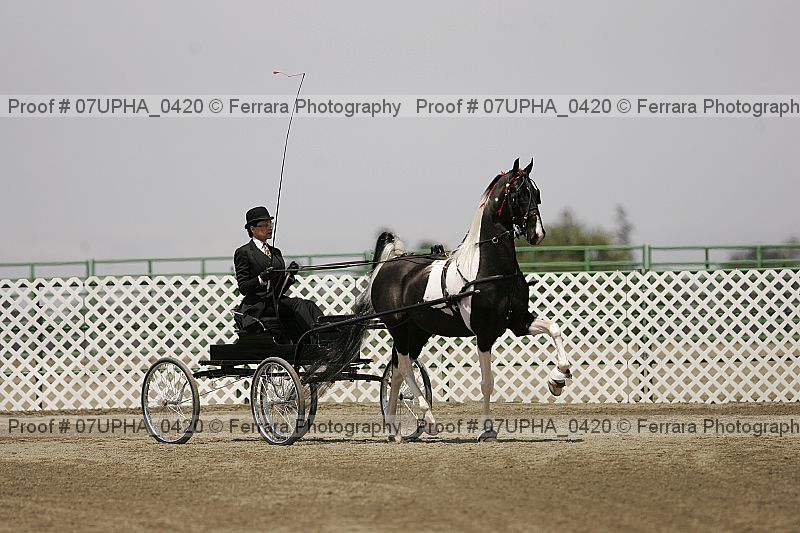 Proof 07upha_0420