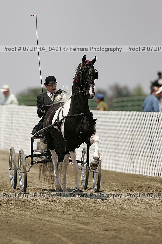 Proof 07upha_0421