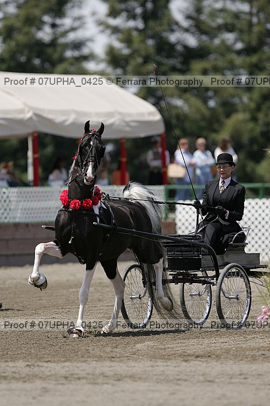 Proof 07upha_0425