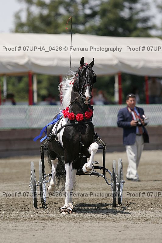 Proof 07upha_0426