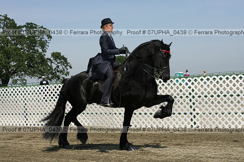 Proof 07upha_0438