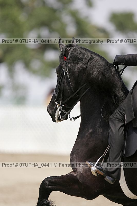 Proof 07upha_0441