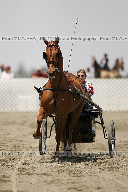 Proof 07upha_0452