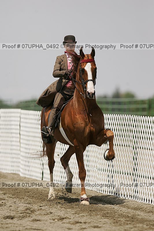 Proof 07upha_0492