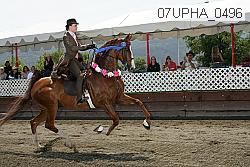 07upha_0496 proof