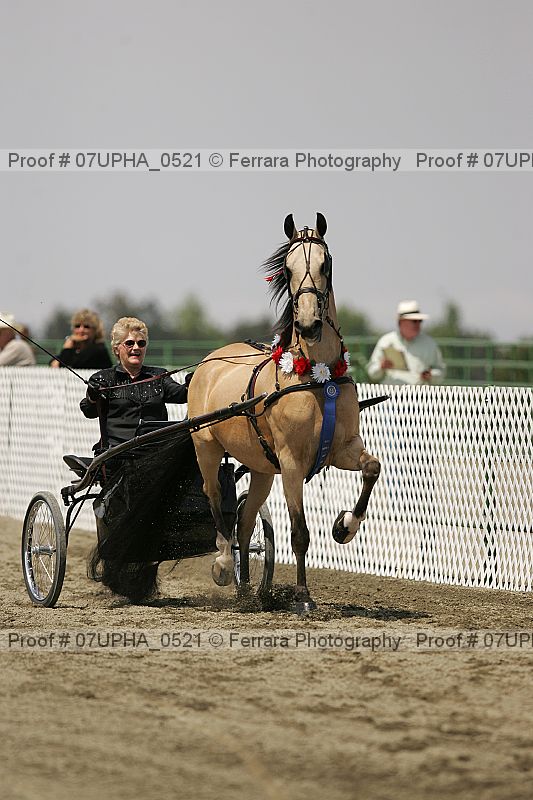 Proof 07upha_0521
