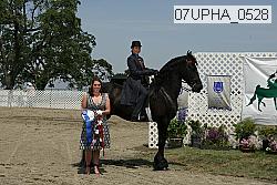 07upha_0528 proof