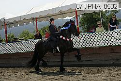 07upha_0532 proof