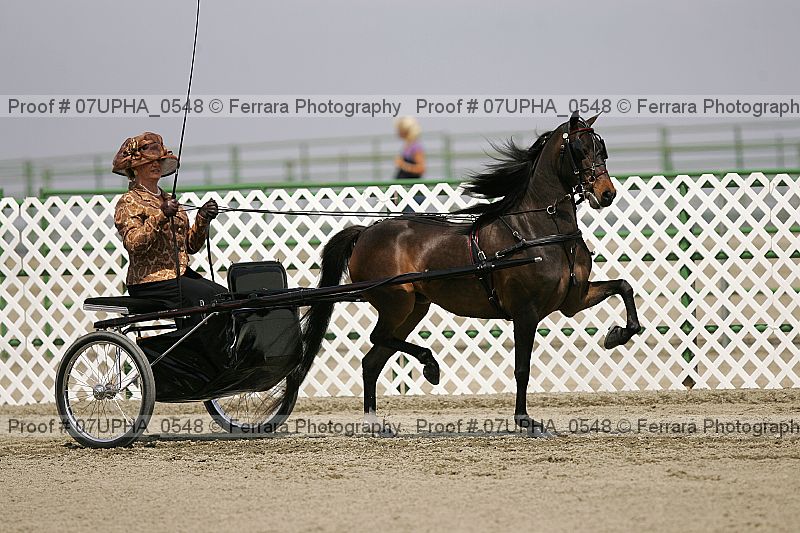 Proof 07upha_0548