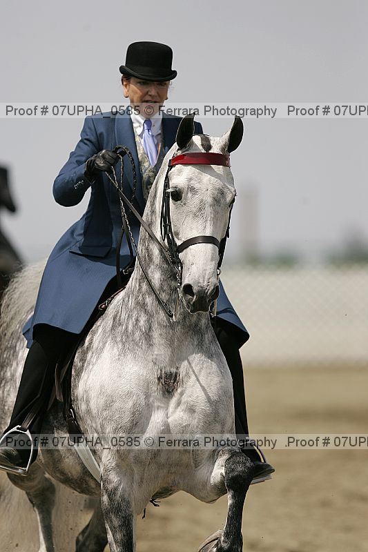Proof 07upha_0585