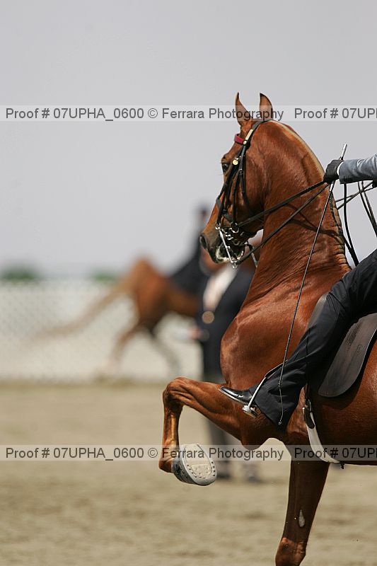 Proof 07upha_0600