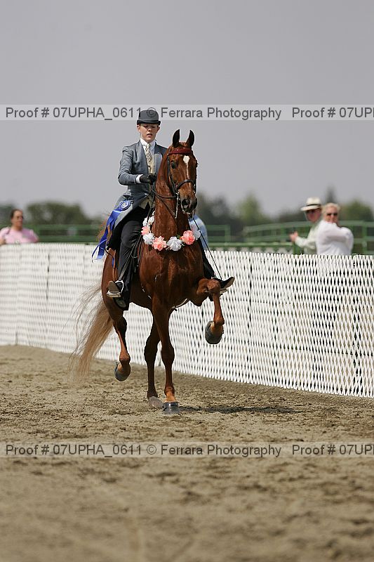 Proof 07upha_0611