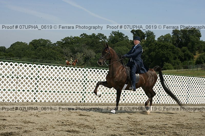 Proof 07upha_0619