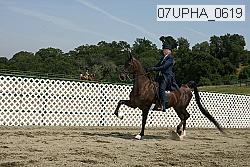 07upha_0619 proof