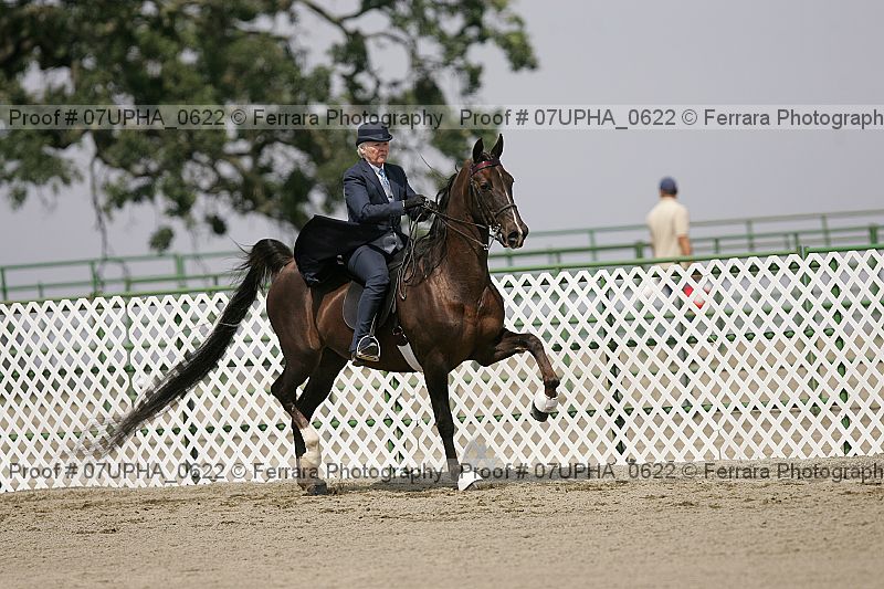 Proof 07upha_0622