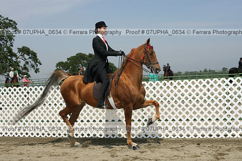Proof 07upha_0634