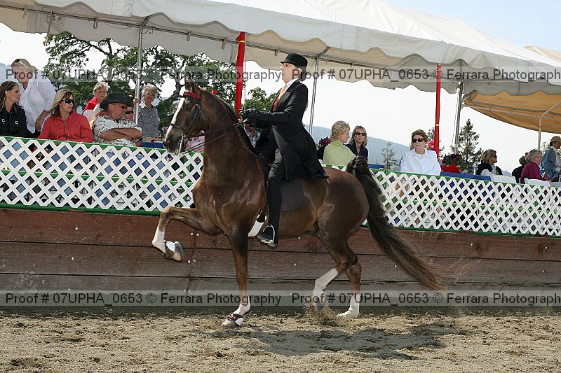 Proof 07upha_0653