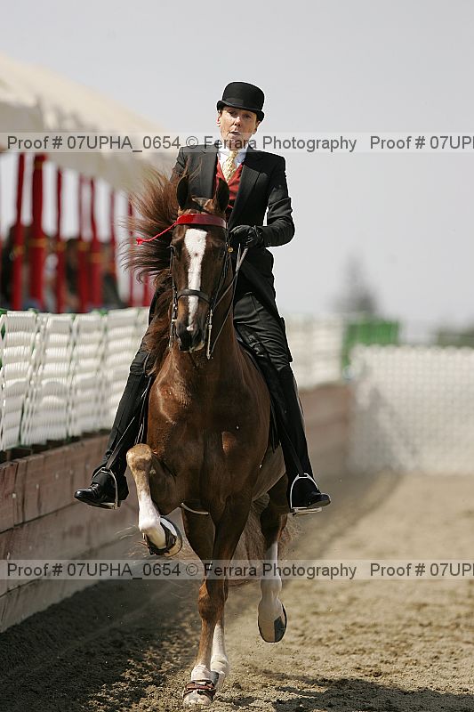 Proof 07upha_0654