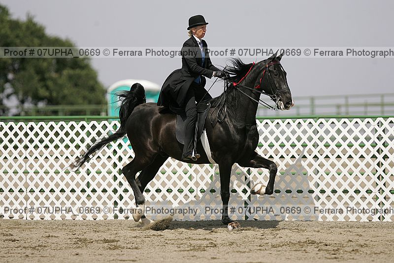 Proof 07upha_0669