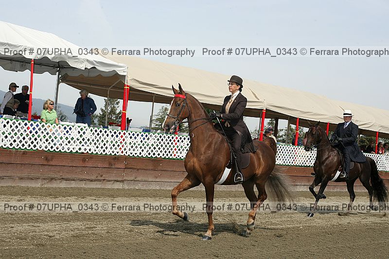 Proof 07upha_0343