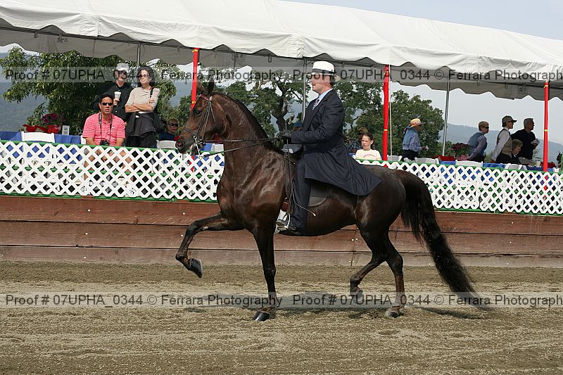 Proof 07upha_0344