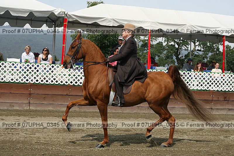 Proof 07upha_0345
