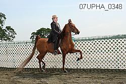 07upha_0348 proof