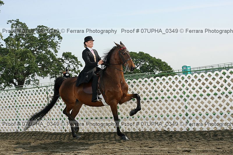 Proof 07upha_0349