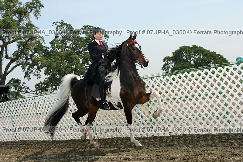 Proof 07upha_0350