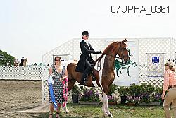 07upha_0361 proof