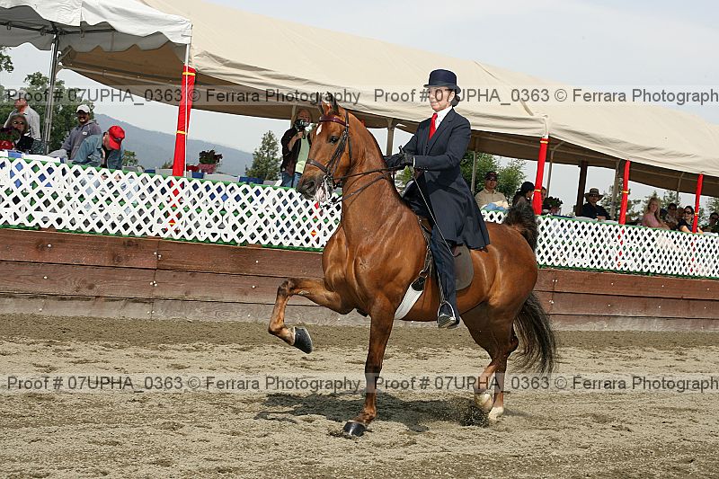 Proof 07upha_0363